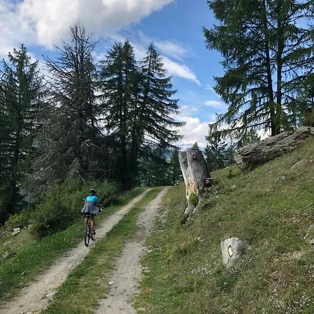 Apartment Petunia Grachen