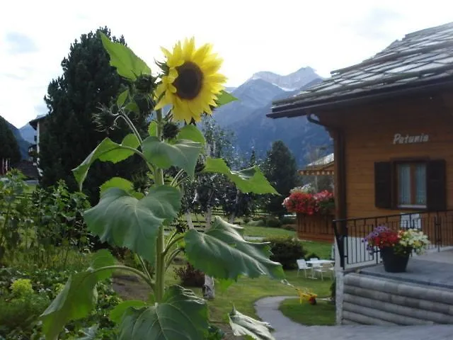 Petunia Apartament *