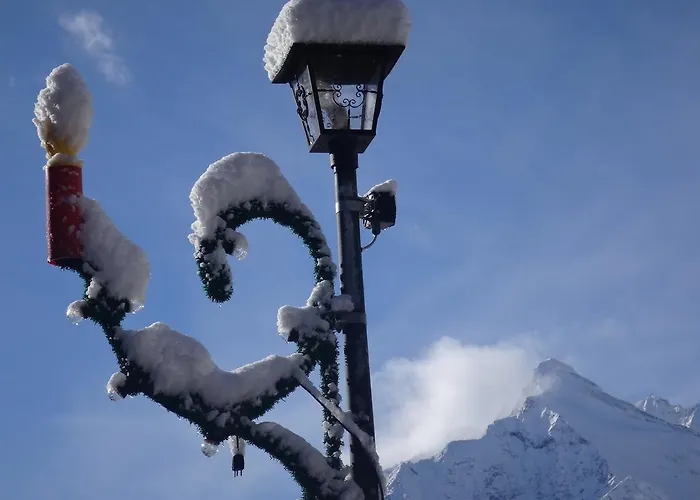 Апартаменты Petunia