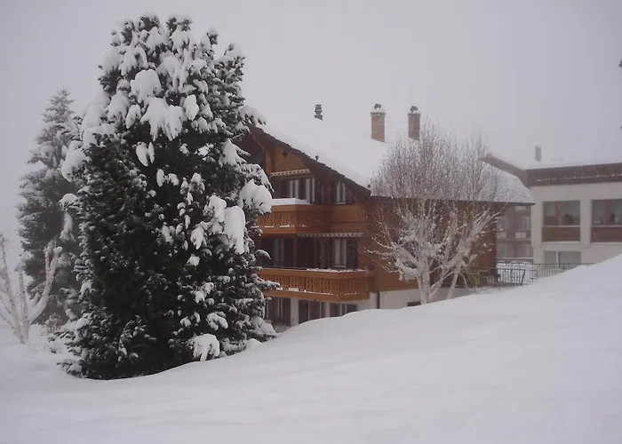 Апартаменты Petunia