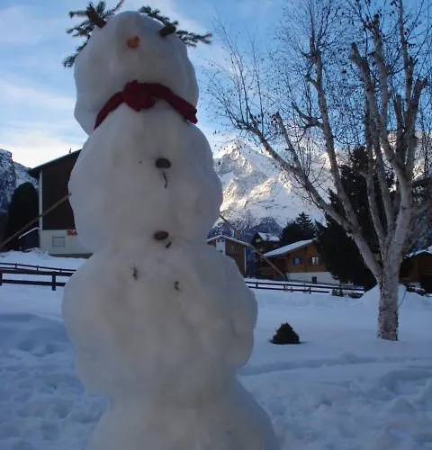 Апартаменты Petunia