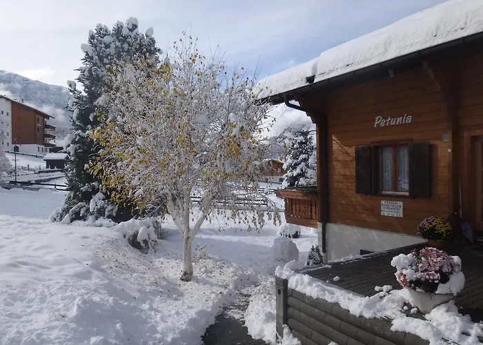 Petunia Apartman *