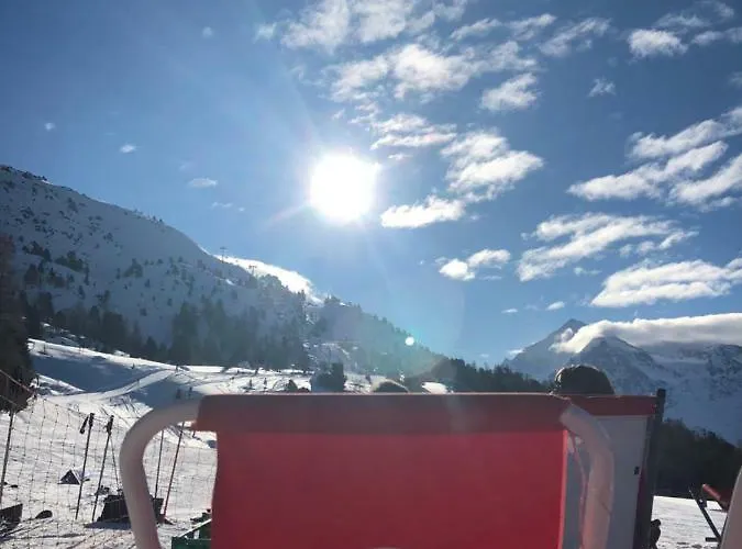 Petunia * Грахен