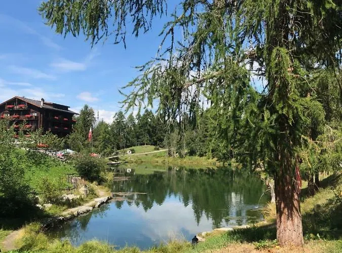 Petunia Daire Grächen