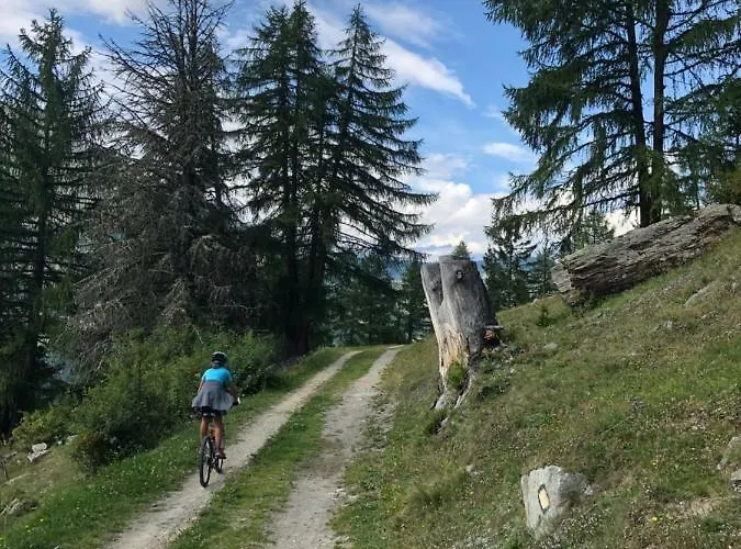 Daire Petunia Grächen